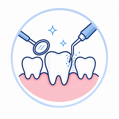 Tooth cross section diagram